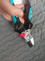 IMAG0927.jpg