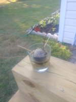 20180713_185930.jpg 20180713_185930.jpg