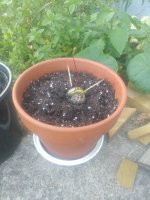 20180713_192439.jpg 20180713_192439.jpg