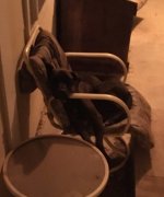 IMG_3951.JPG