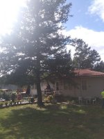 Backyard pre garage.jpg