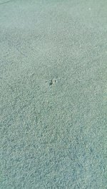 Concrete 1.jpg