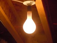 lightbulbs 001 (Medium).jpg