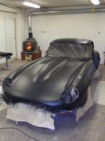 jaguar II 019.jpg