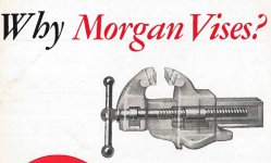morgan_cat_125-07a.jpg