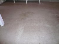 Starting Floor 1.jpg