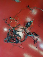 old harness out.jpg old harness out.jpg