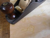 DSCN6330.jpg