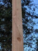 IMG_20180426_201257.jpg