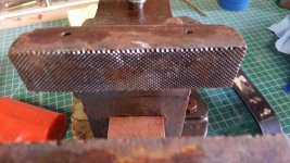 20170305_081018.jpg