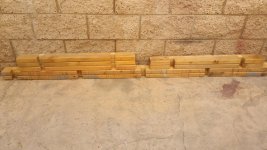 SNAG-929.jpg