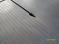SDC10724.jpg