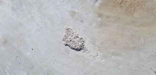 20180312_175236.jpg