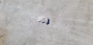 20180312_175305.jpg