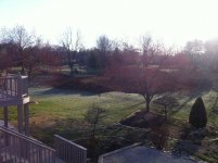 IMG_1151.jpg