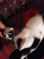 20181014_204805.jpg 20181014_204805.jpg