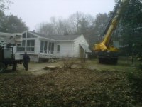 99 trees down.jpg
