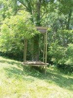 treestand2006b.jpg