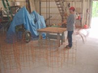tomato cages.JPG