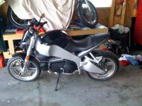 buell1.jpg