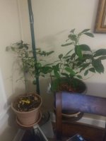 20180716_214027.jpg 20180716_214027.jpg