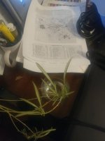 20180716_214152.jpg 20180716_214152.jpg