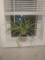 20180716_214340.jpg 20180716_214340.jpg