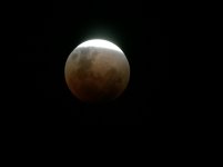 IMG_2659.jpg