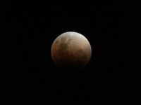 IMG_2664.jpg
