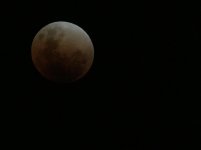 IMG_2663.jpg