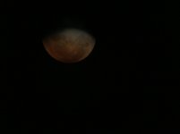 IMG_2652.jpg