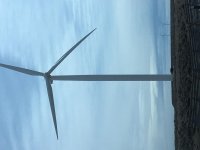 wind turbines.jpg