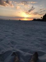 IMG_9262.jpg