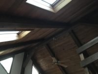 IMG_3196.jpg