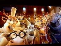COWS.jpg