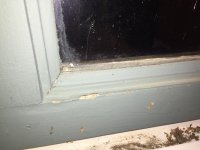 IMG_4075.jpg