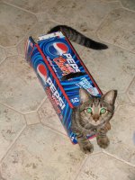 IMG_7004.jpg IMG_7004.jpg