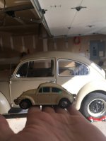 15til3 VW Bugs.jpg