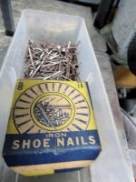 Nail Collection 3.jpg
