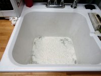 PT Paint Treatment 1.jpg
