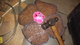 20180425_204924.jpg