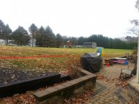 yard-from mudroom door.jpg