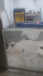 20181205_172417.jpg