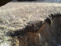 20181206_102124.jpg