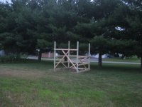 IMG_5347.JPG