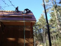sheathing roof3.JPG