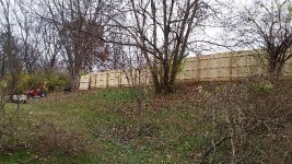 fence.jpg