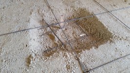 20170728_172233.jpg