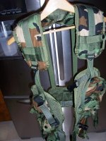 Vest.jpg