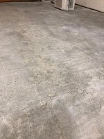 floor1.jpg